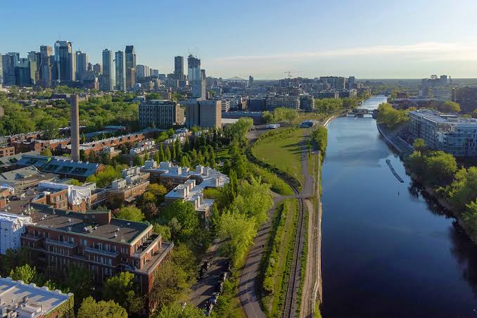 Courtier immobilier Griffintown, Montréal