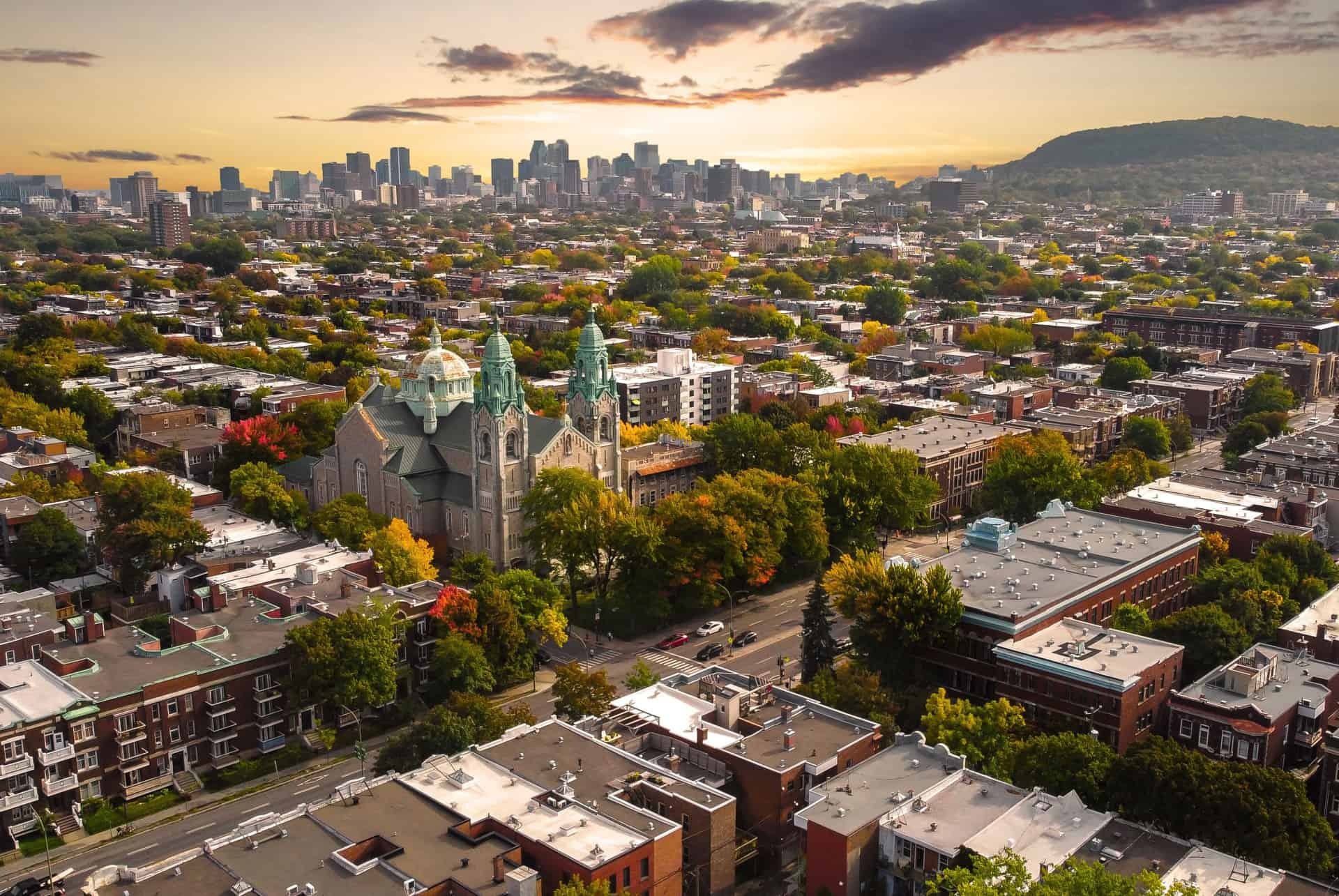 Courtier immobilier Le Plateau-Mont-Royal, Montréal