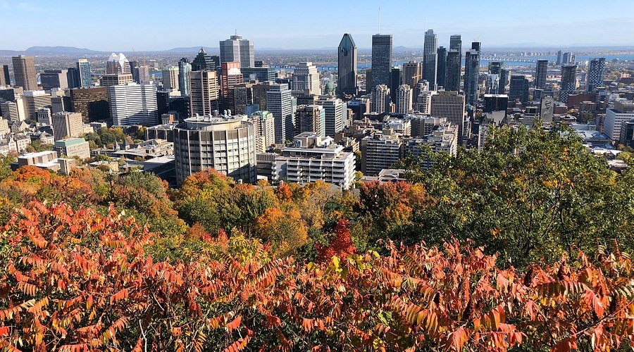 Courtier immobilier Mont-Royal, Montréal