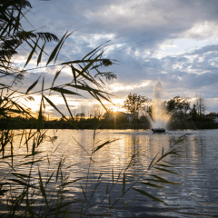 Courtier immobilier Saint-Constant, Rive-Sud
